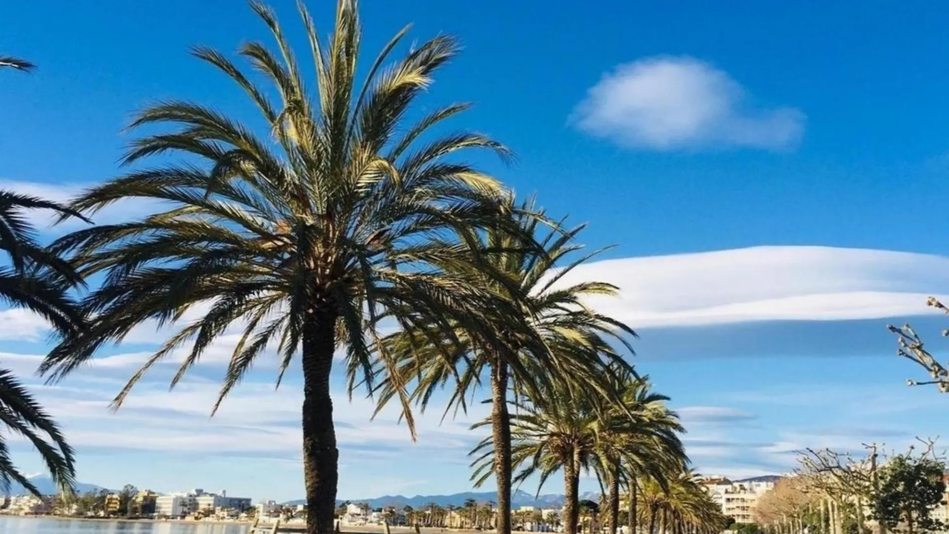 4081 Rosa Mar 1-1, Se Deleitara Y Gozara De Las Vistas Desde La Terraza. Zona Tranquila, Pequeno Edificio. Parking. - Es-258-116 Ρόζες Ισπανία